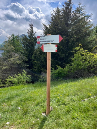 O622-ldp006-00-d02-29052024