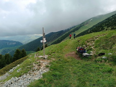 O622-ldp007-20-p01-29052024