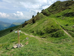 O622-290524-td006390077