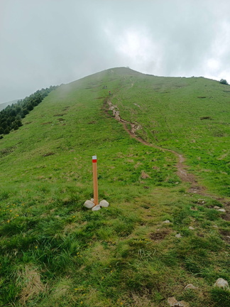 O622-290524-td006390321 (339 visite) O622-290524-td006390321