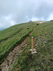 O622-290524-td006390529