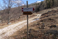 O623-ldp017-d01-190422-IC