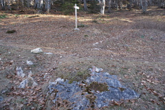 O623-ldp018-00-p2-161208-HM-04438