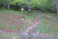 O623-ldp018-00-p3-160515-IC