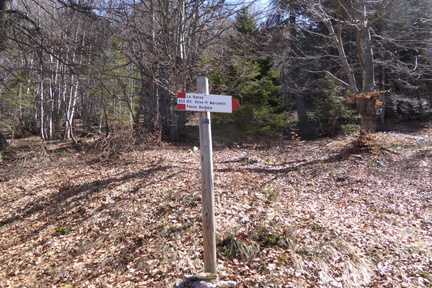 O623-ldp018-d01-190422-IC