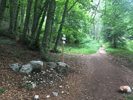 O623-ldp022-p01-200802-ED