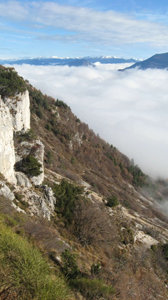 O623-05-161127-FB-Lagorai-dal-Carega (335 visite) O623-05-161127-FB-Lagorai-dal-Carega