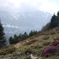 O624-170414-RB-MonteAltissimo-2