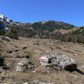 O624B-170406-CC-P1120395