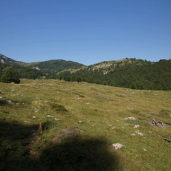 sentiero