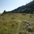 O624B-q1542-170801-td