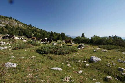 O624B-q1570-170801-td