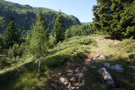 O624B-q1580-170801-td