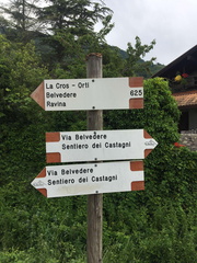 O625-ldp008-00-d01-200606-ED