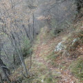 O625-10-161220-ED-03741