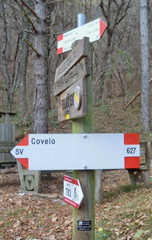 O627-ldp020-02-d01-181129-SdC