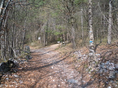 O627-ldp020-02-p01-170331-SdC