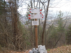 O627-ldp032-00-d01-190308-SdC