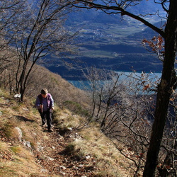 sentiero