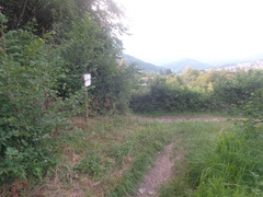 O628-ldp001-00-p03-160912-AM