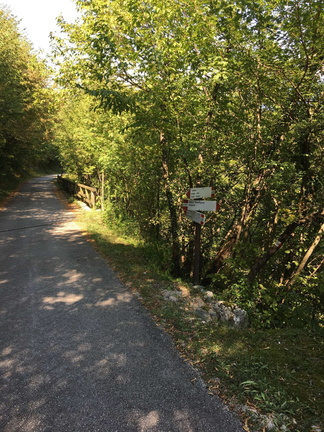 O630-ldp009-00-p02-180817-ed