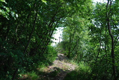 O630-ldp011-00-p01-160629-ed