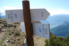 O630-ldp022-00-d03-160508-ed