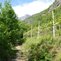O630A-02-170429-ED-51