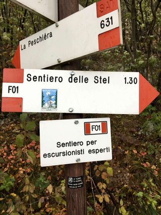 O631-ldp004-00-d01-181030-ed (326 visite) O631-ldp004-00-d01-181030-ed