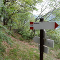 O631-ldp004-00-d02-240416-ed