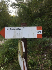 O631-ldp005-00-d02-200827-ED