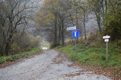 O633-ldp001-00-p02-181110-RB