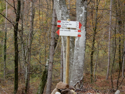 O635-ldp003-00-d02-171026-ED