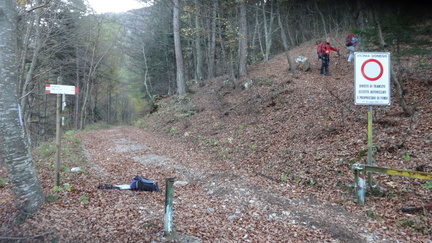 O635-ldp006-00-p01-171026-ED