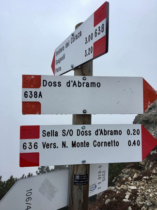 O636-ldp005-00-d01-181110-ED (31 visite) O636-ldp005-00-d01-181110-ED