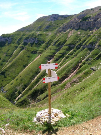 O636-ldp006-00-p03-100728-LB (20 visite) O636-ldp006-00-p03-100728-LB