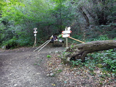 O637-ldp008-00-p01-210711-MA