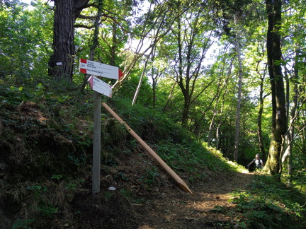 O637-ldp009-00-p02-210711-MA