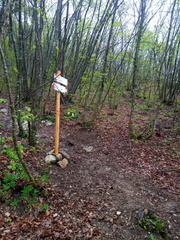 O637-ldp013-00-p02-210711-MA