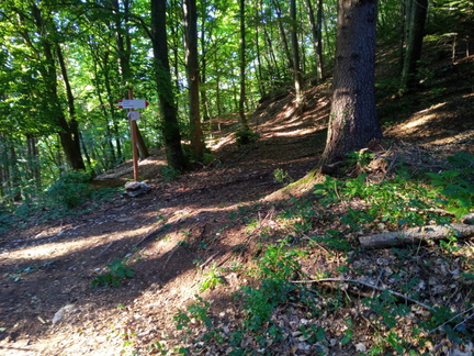 O637-ldp014-00-p01-210711-MA