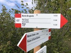 O637-ldp020-00-d02-210528-ED