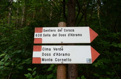 O638-ldp001-00-d01-160725-ed