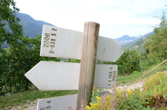 O638-ldp005-00-d02-160725-ed