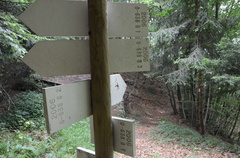 O638-ldp008-00-d02-160725-ed