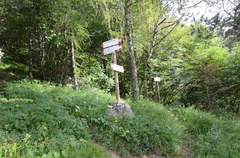 O638-ldp009-00-p02-160725-ed