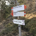 O638-ldp009-01-d01-230225-ED (155 visite) O638-ldp009-01-d01-230225-ED