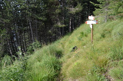 O638-ldp009-01-p02-160725-ed