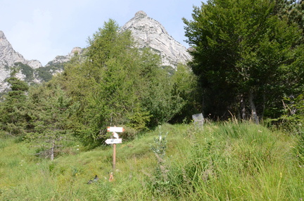 O638-ldp009-01-p03-160725-ed