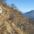 O640-02-Cengia-in-piano-quota-1350-170129-FB-1 (36 visite) O640-02-Cengia-in-piano-quota-1350-170129-FB-1
