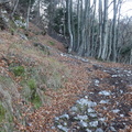 O640-04-171026-ED (36 visite) O640-04-171026-ED